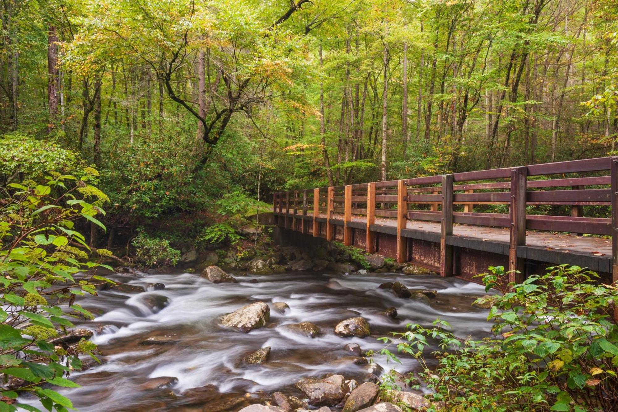 Alpine Joy-Hot Tub, Pond Access ,1089 Of Free Tickets For Each Paid Day, Dollywood And More! 타운센드 외부 사진