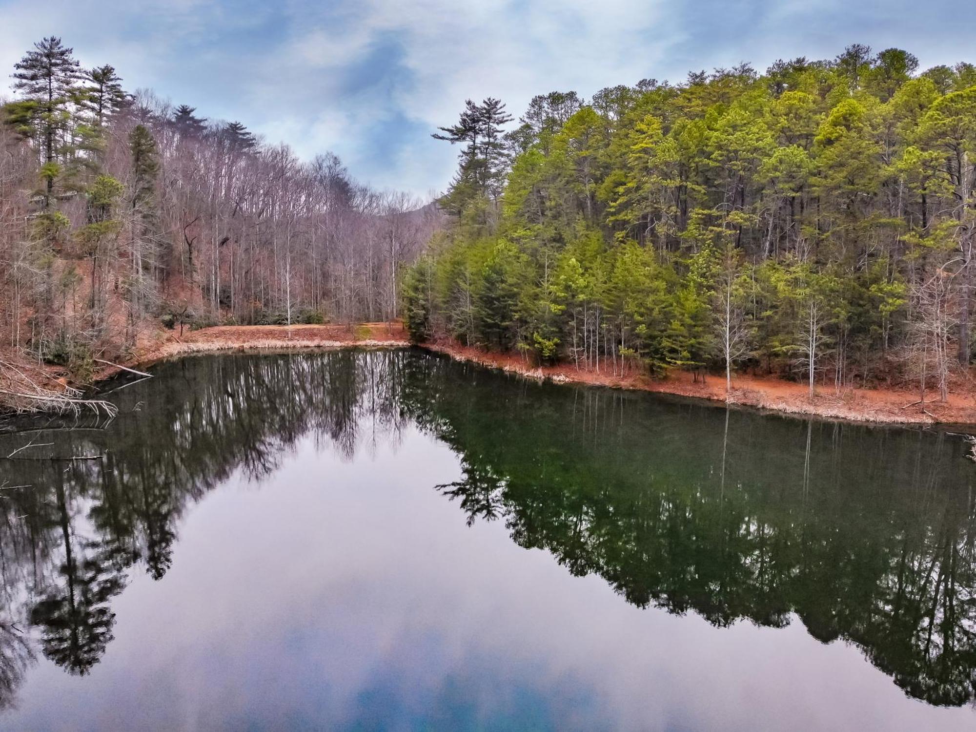 Alpine Joy-Hot Tub, Pond Access ,1089 Of Free Tickets For Each Paid Day, Dollywood And More! 타운센드 객실 사진