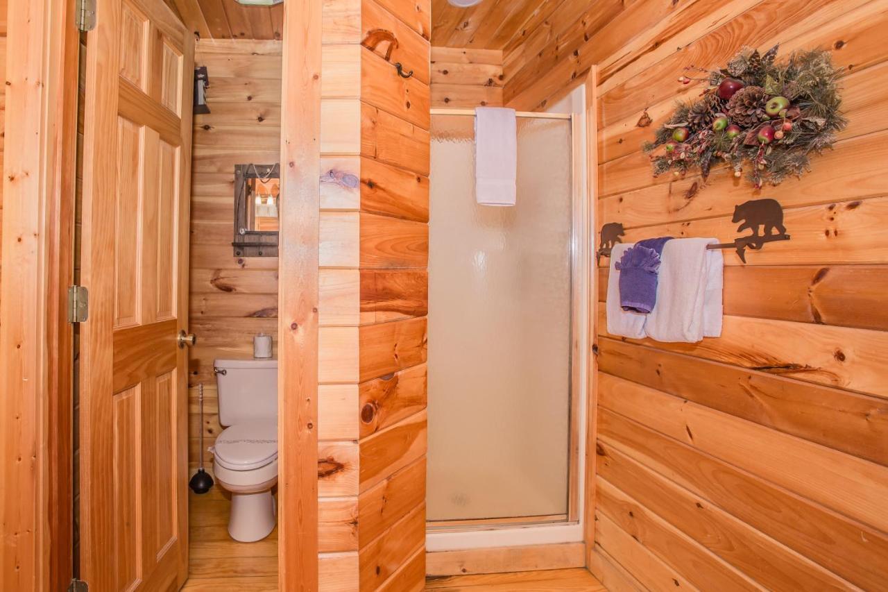 Alpine Joy-Hot Tub, Pond Access ,1089 Of Free Tickets For Each Paid Day, Dollywood And More! 타운센드 외부 사진